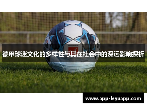 德甲球迷文化的多样性与其在社会中的深远影响探析