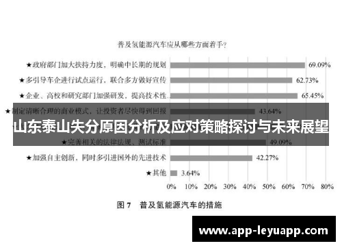 山东泰山失分原因分析及应对策略探讨与未来展望