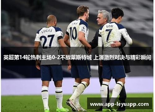 英超第14轮热刺主场0-2不敌莱斯特城 上演激烈对决与精彩瞬间