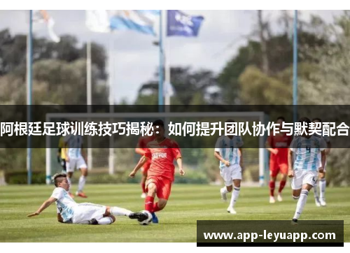 阿根廷足球训练技巧揭秘：如何提升团队协作与默契配合
