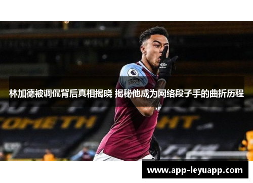 林加德被调侃背后真相揭晓 揭秘他成为网络段子手的曲折历程 林加德被调侃背后真相揭晓 揭秘他成为网络段子手的曲折历程